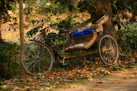 Transport culture taxi