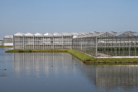 Cash greenhouse horticulture horticulture