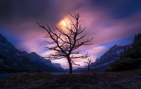 Moon rising on a purple sky