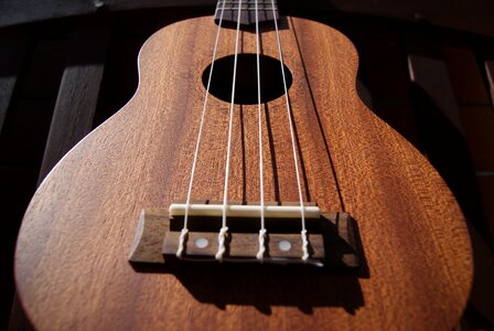 Hollow wood instrument photo