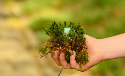 Found hold tight green