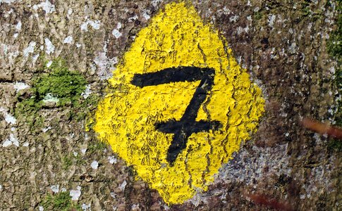 Seven mark digit