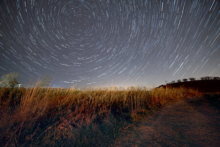 Star Trails in the Sky above Pheasant Branch Conservancy photo