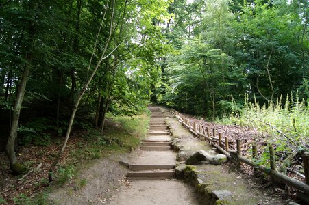 Walk stairs art