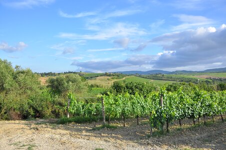 Countryside landscape italy