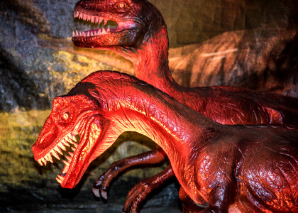 Closeup of raptors