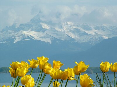 Lake geneva montreux switzerland photo