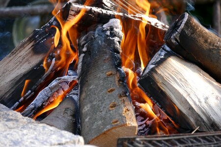 Campfire adventure wood