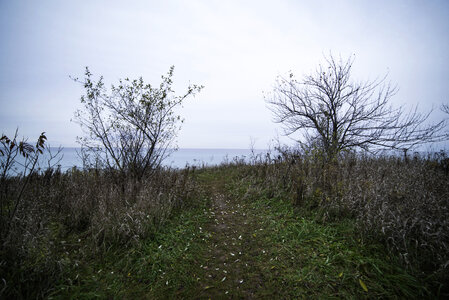 Pathway to the bluff overlook