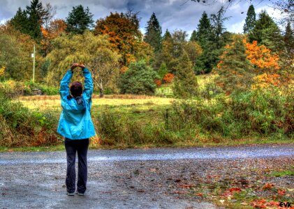 Landscape scenery natural