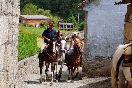 Animal cavalry child photo