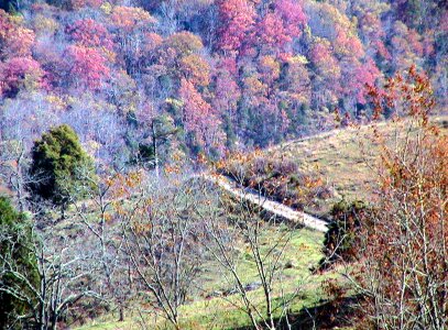 Camp earth road