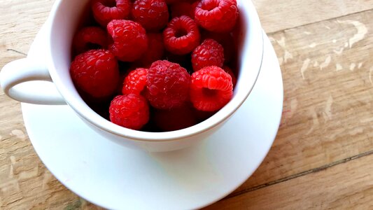 Berries berry bowl photo