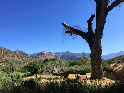 South Kaibab Trail in Grand Canyon photo