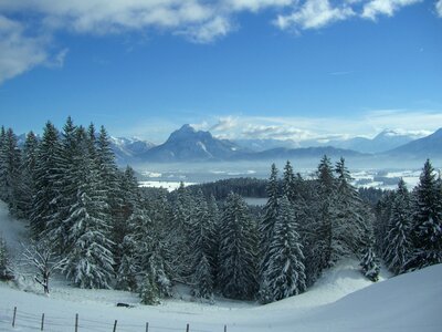 Views from the senkele alpine panorama säuling