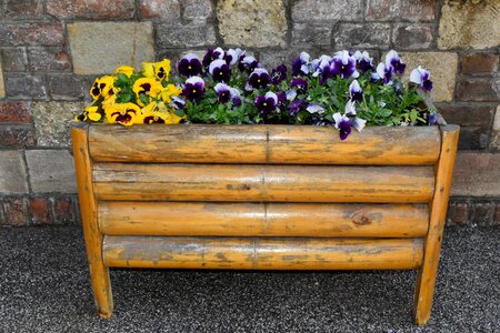 Wood wooden garden