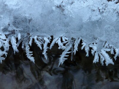 Iced frozen winter photo