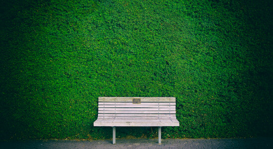 Wooden Bench against Green Hedge Wall photo