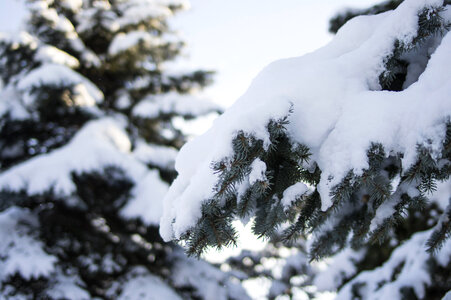 17 Snow