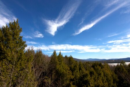 Blue Sky clouds forest photo