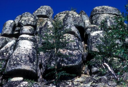 Array basalt stone photo