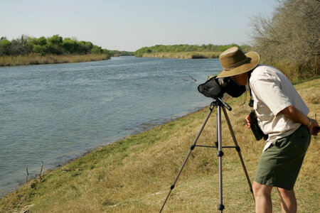 Wildlife viewing-2 photo