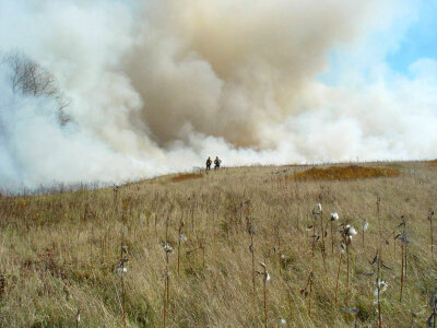 Prescribed burn at Canaan Valley National Wildlife Refuge-1 photo