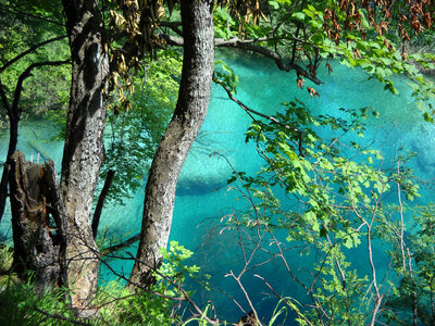 Turquiose Lake through the trees at Plitvice Lake National Park, Croatia