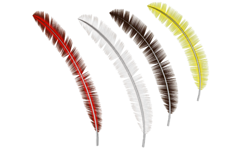 Feather Graphic photo