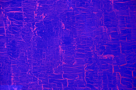 Purple Background photo
