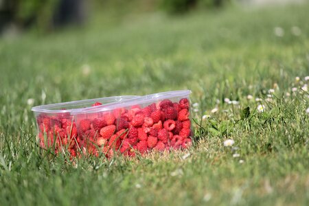 Sweet ripe berries
