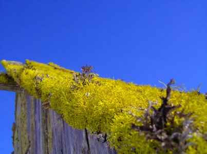 Close up roof sky photo