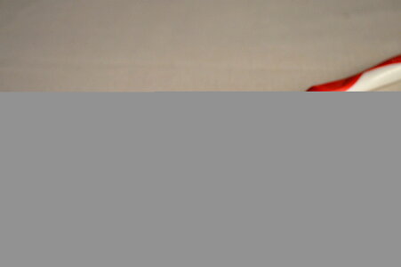 Red Toothbrush