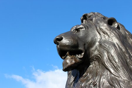 Trafalgar square statue sky