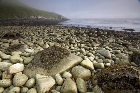 Phylum stones 