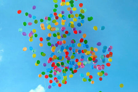 Multicolored Balloons Floating up into a Blue Sky photo