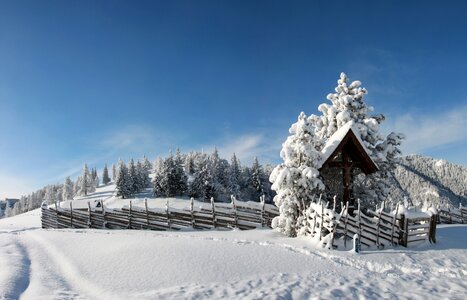 Snow snowy landscape photo