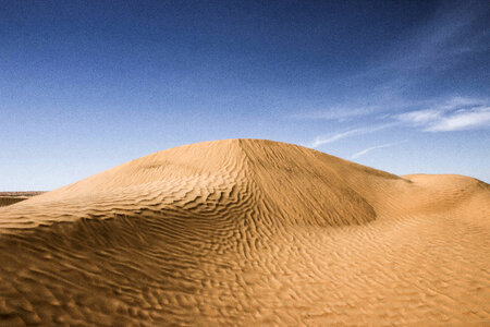 Beautiful Sand Dunes in the Desert photo