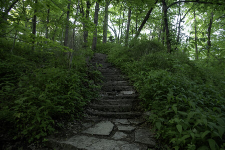 Stone steps going up photo