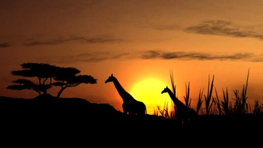 Solar giraffe landscape