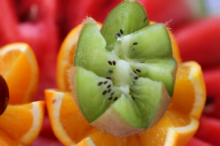 Kiwi seed close-up