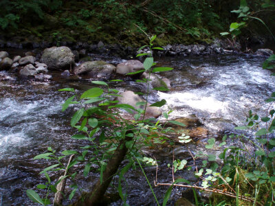 Eagle Creek