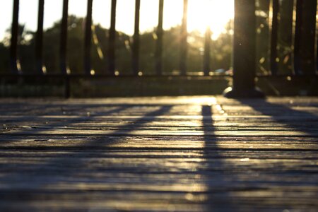 Fence planks sun