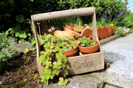 Gartendeko wood weathered
