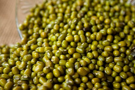 Bean bowl dark green