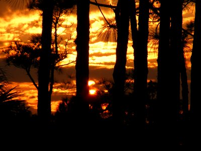 Clouds silhouettes nature photo