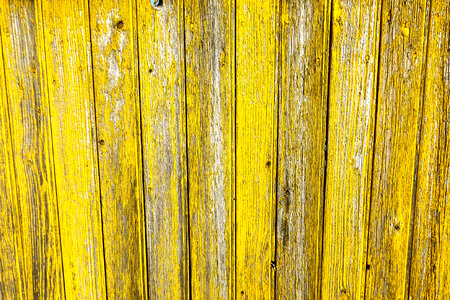 Yellow Wood Fence