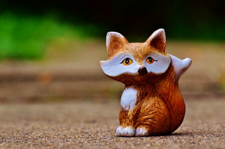Animal animal world red fox