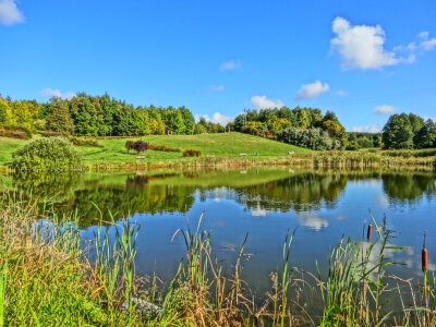 Lake and spring forest. Nature composition photo