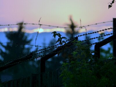 Wire barbed wire fencing photo